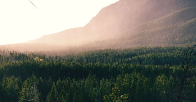 Orofacial Myofunctional Therapy